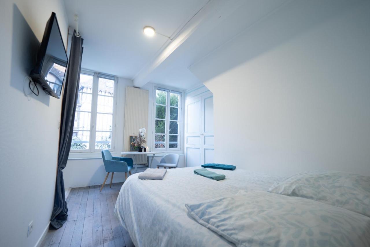 Apartament L'Oiseau De La Cathedrale - Calme - Jardin - Wifi Troyes Zewnętrze zdjęcie